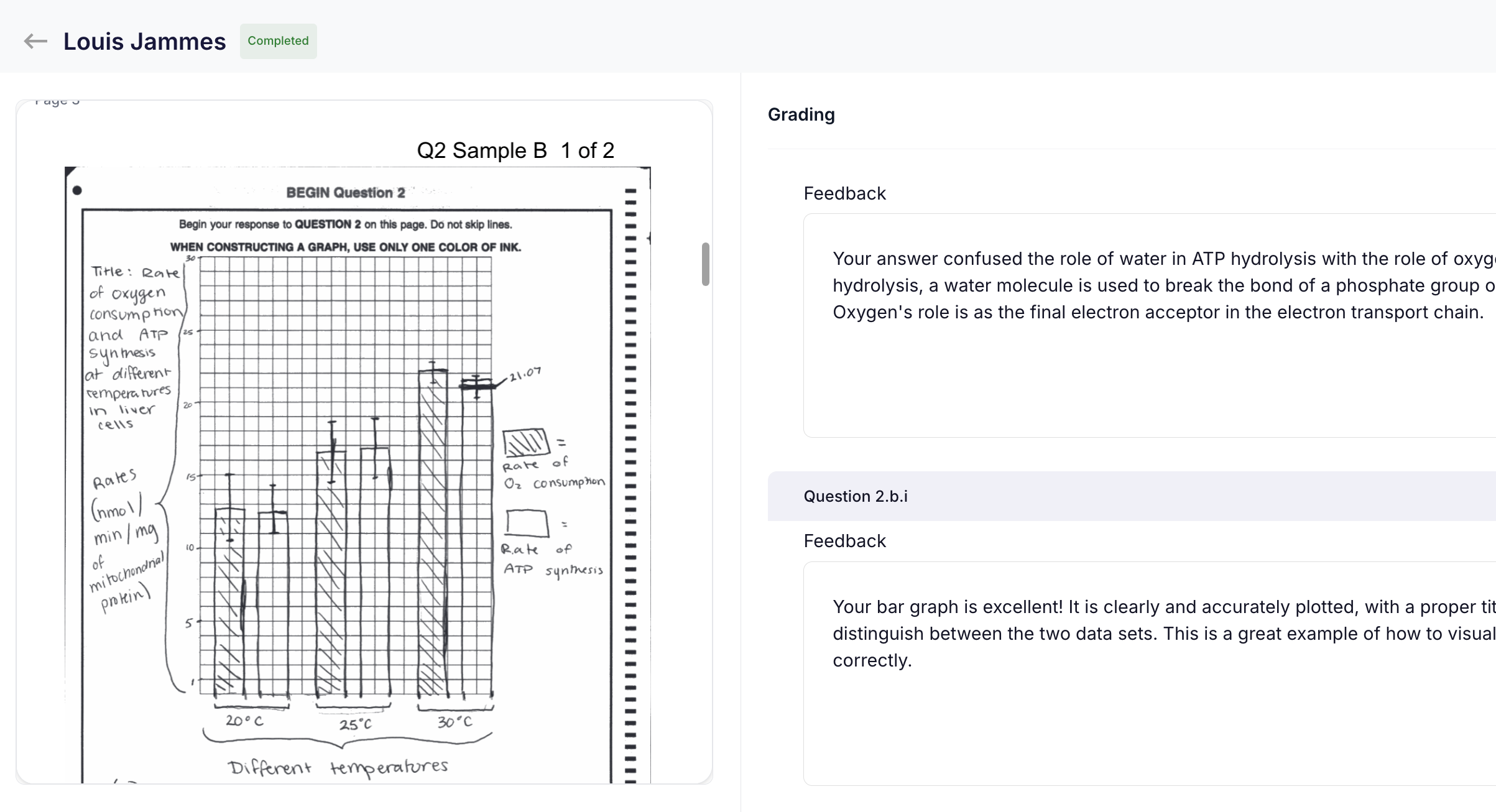 Automated Grading